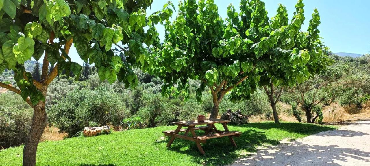 Kondaraíni Lily Home_Lefkada ~ Private Country House מראה חיצוני תמונה