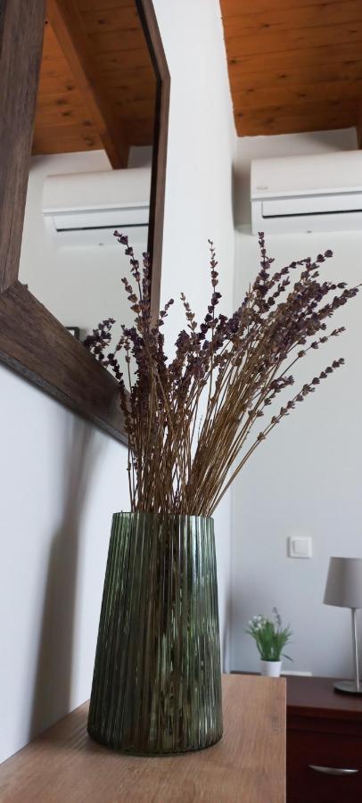 Kondaraíni Lily Home_Lefkada ~ Private Country House מראה חיצוני תמונה