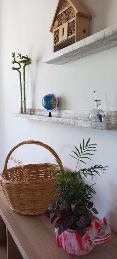 Kondaraíni Lily Home_Lefkada ~ Private Country House מראה חיצוני תמונה