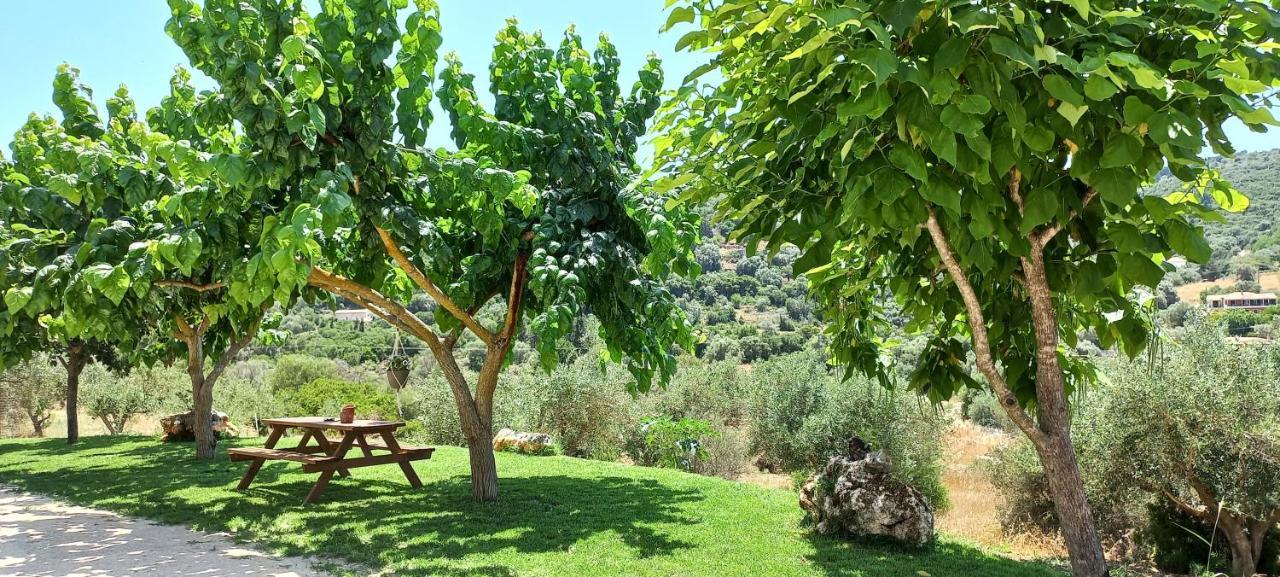 Kondaraíni Lily Home_Lefkada ~ Private Country House מראה חיצוני תמונה