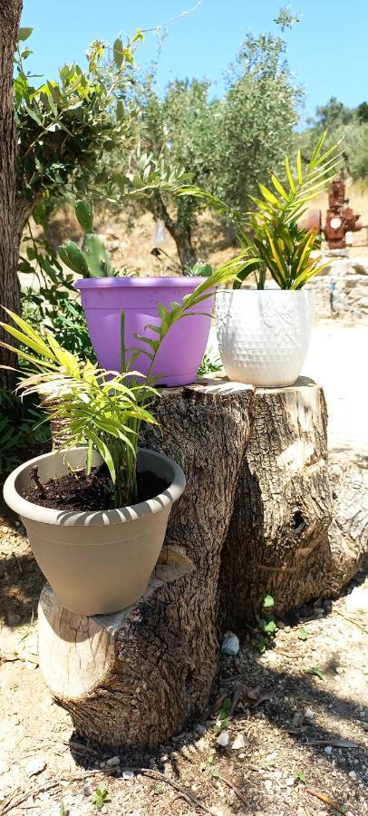 Kondaraíni Lily Home_Lefkada ~ Private Country House מראה חיצוני תמונה