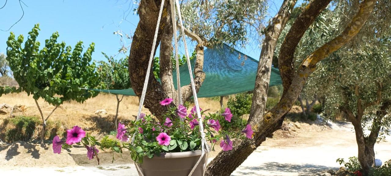 Kondaraíni Lily Home_Lefkada ~ Private Country House מראה חיצוני תמונה