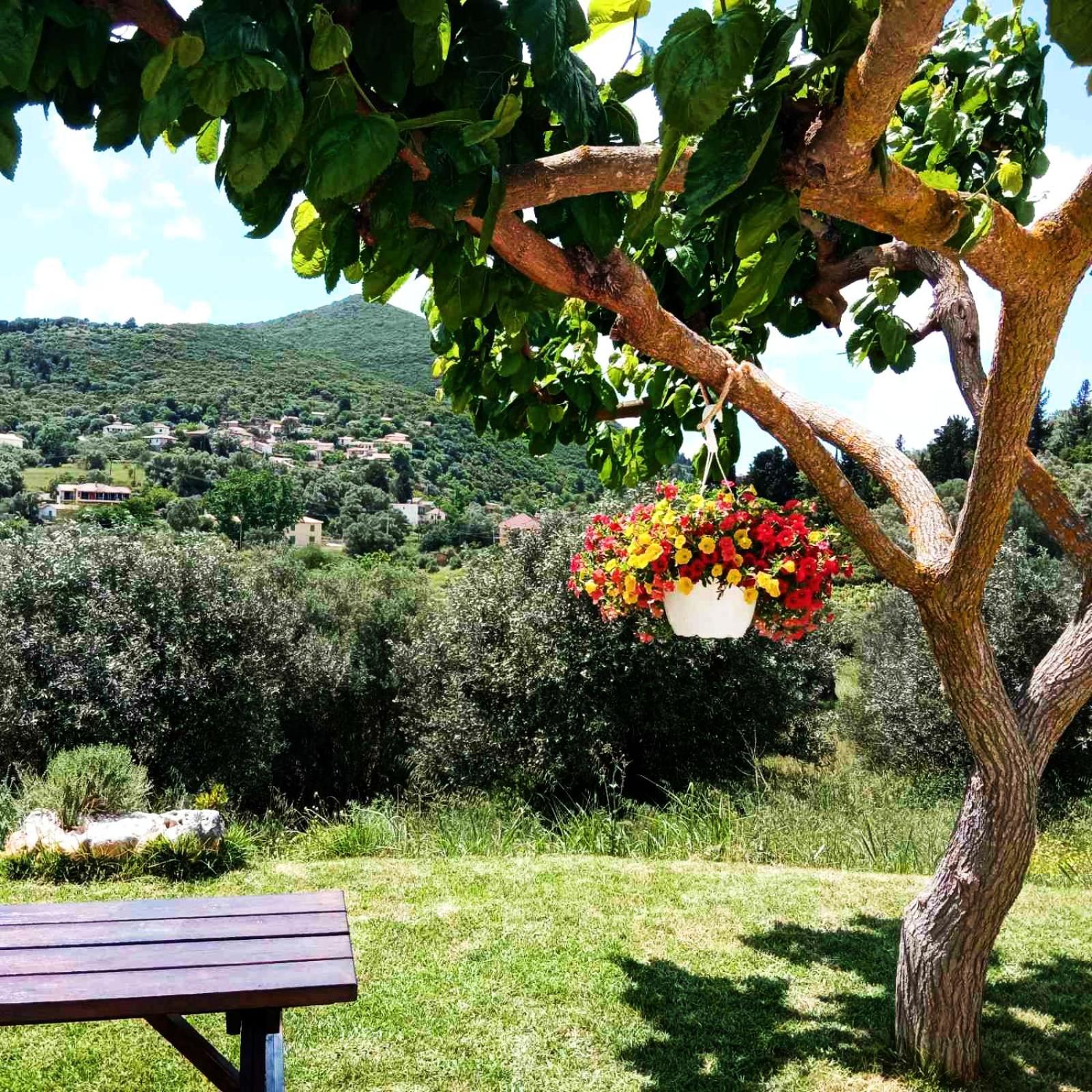 Kondaraíni Lily Home_Lefkada ~ Private Country House מראה חיצוני תמונה
